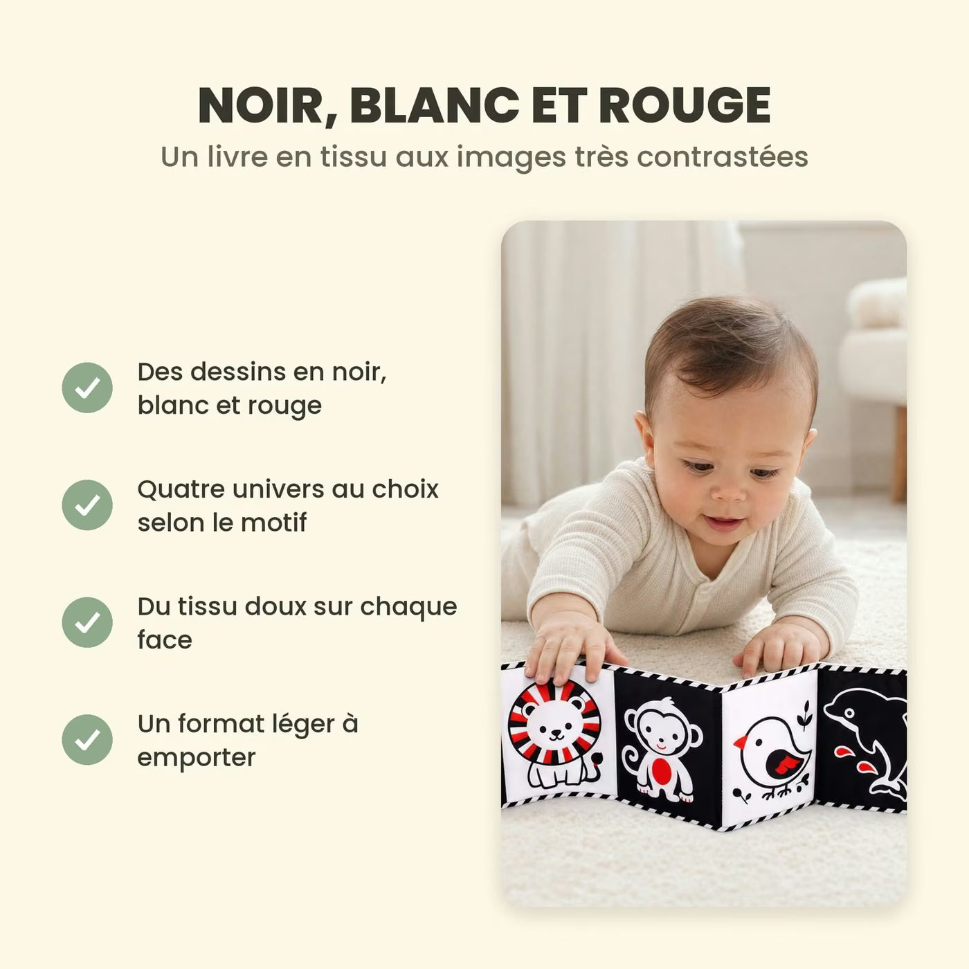 Le Petit Livre Contraste Ploumi