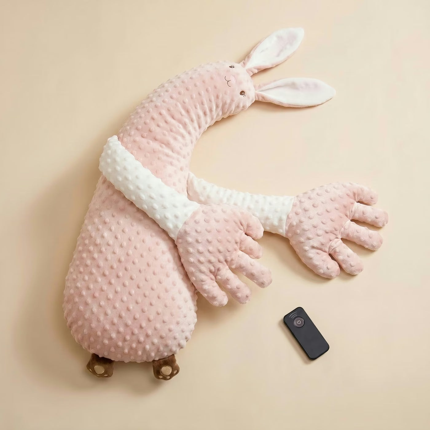 Le Compagnon de Sommeil