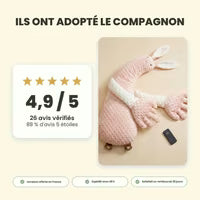 Note moyenne 4,9 sur 5, 26 avis clients