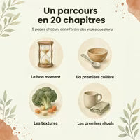 Le parcours du livre en 20 chapitres de 5 pages