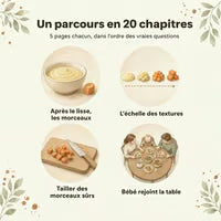 Le parcours du livre en 20 chapitres de 5 pages